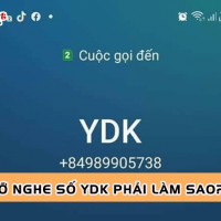 Đừng chần chừ xem ngay: Lỡ nghe số YDK phải làm sao?
