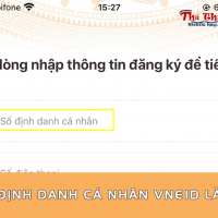 Số định danh cá nhân VNeID là gì? Đã được sử dụng là sao?