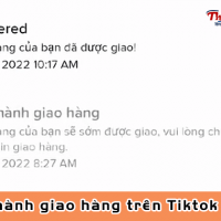 Tiến hành giao hàng trên Tiktok là gì? Có phải đang giao?