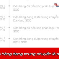 Đơn hàng đang trung chuyển là sao? Mất bao lâu để nhận