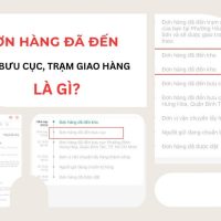 Đơn hàng đã đến kho, đến bưu cục, đến trạm giao hàng là sao?