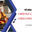 Số CSKH PLE LAW FIRM là gì? CSKH CONGSU là gì?