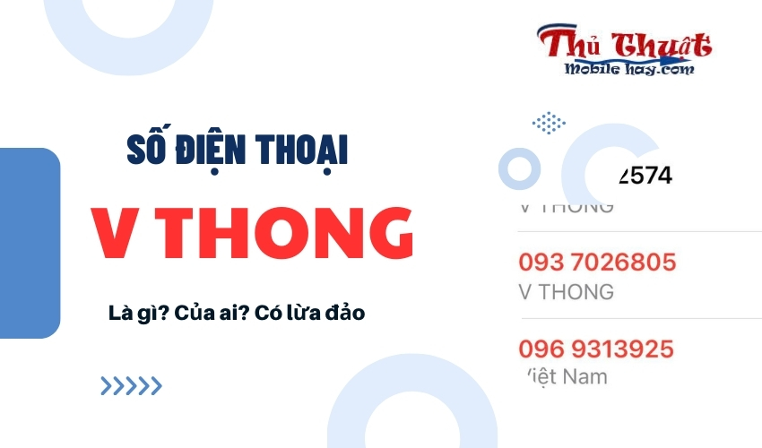 Số điện thoại V THONG là gì?