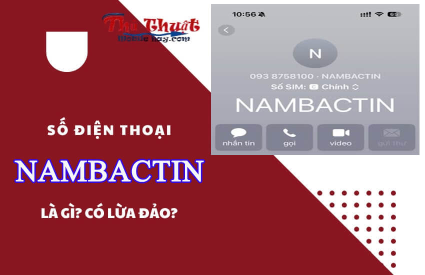 NAMBACTIN là gì?