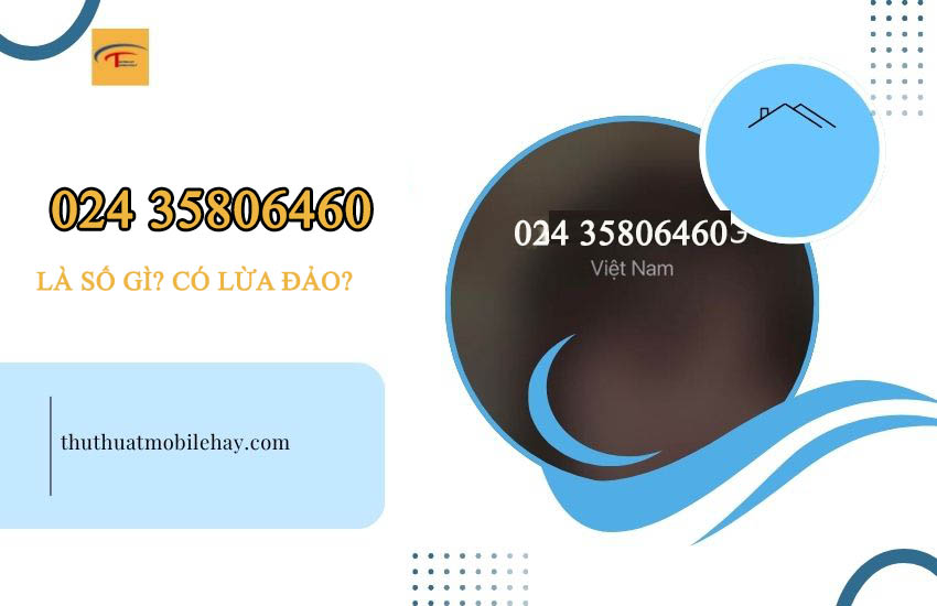 02435806460 là gì? 02435806460 là gì?