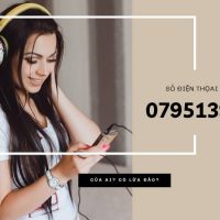 0795139058 là số của Techcombank không lừa đảo