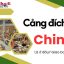 Đơn hàng đã đến cảng đích Chima bao lâu nhận?