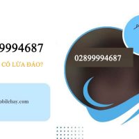 Số điện thoại 02899994687 là gì ? Có phải lừa đảo