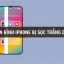 Camera Iphone Bị Sọc Dọc: Nguyên Nhân, Cách Khắc Phục Và Bảo Vệ Để Tránh Xảy Ra