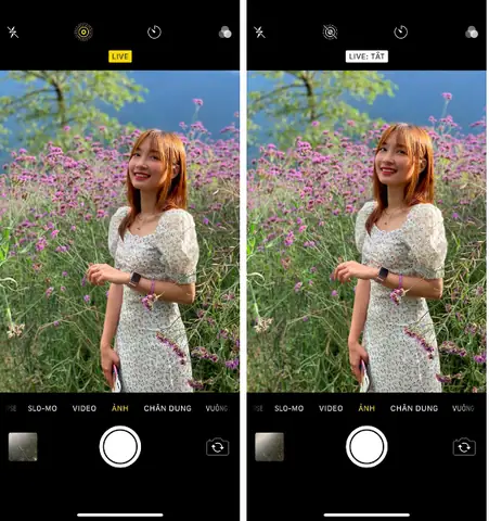 Chụp Hình Đẹp Bằng Iphone Chụp Hình Đẹp Bằng Iphone