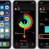 Đếm Bước Chân Trên Iphone: Hướng Dẫn Chi Tiết, Lợi Ích Và Cách Tối Ưu Hóa Sức Khỏe