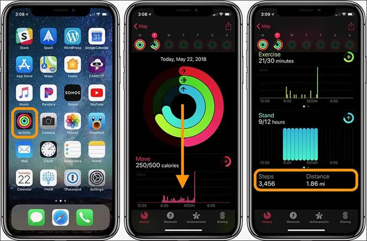 Đếm Bước Chân Trên Iphone