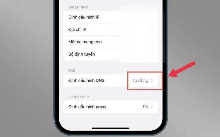 Định Cấu Hình Dns Trên Iphone