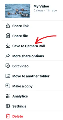 Download Vimeo Video To Iphone