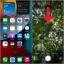 Hẹn Giờ Chụp Ảnh Iphone: Hướng Dẫn Chi Tiết Từ Cơ Bản Đến Nâng Cao