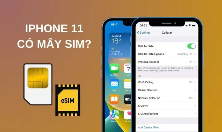 Iphone 11 Có 2 Sim Không