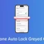 Iphone Auto Lock Bị Đánh Đen: Nguyên Nhân, Giải Pháp Và Cách Khắc Phục Chi Tiết