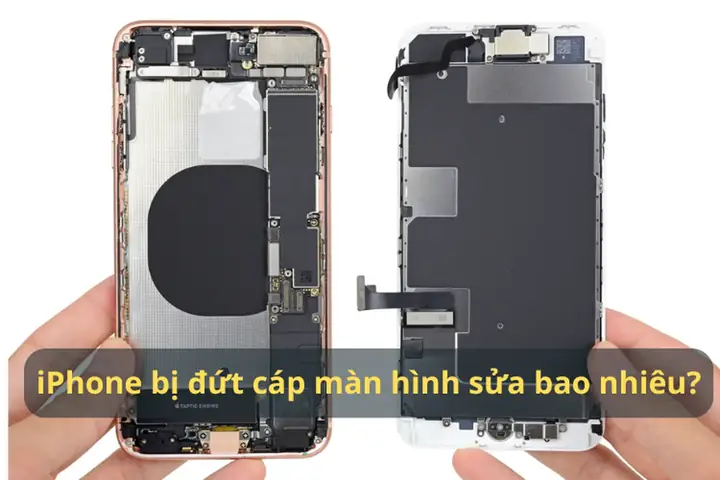 Iphone Bị Đứt Dây Nguồn