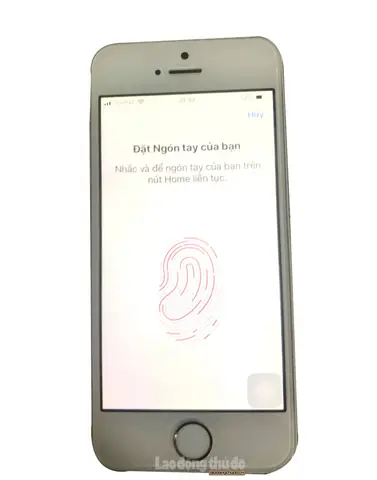 Iphone Bị Lỗi Touch Id