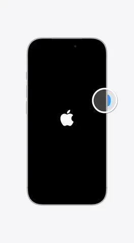Iphone Black Screen Wont Turn On
