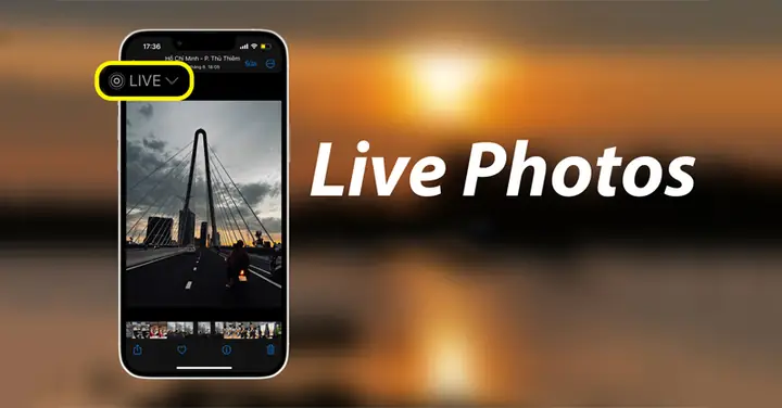 Iphone Live Photo To Video