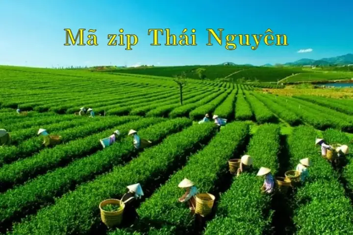 Mã Zip Iphone Thái Nguyên