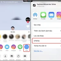 Tải Tiktok Về Iphone: Hướng Dẫn Chi Tiết, Mẹo Tối Ưu Và Giải Pháp Khi Gặp Sự Cố