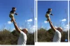 Burst Photo Trên Iphone: Tất Cả Những Điều Bạn Cần Biết Về Chế Độ Chụp Nhanh