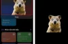 Cách Xoá Nền Ảnh Trên Iphone: Hướng Dẫn Chi Tiết Từ Cơ Bản Đến Nâng Cao