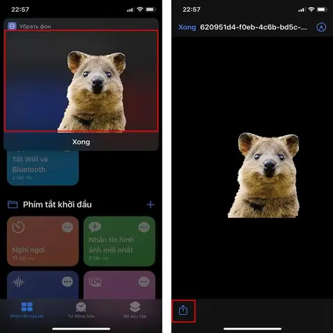 Xoá Nền Ảnh Trên Iphone