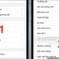 Cách Chỉnh Bàn Phím Iphone: Hướng Dẫn Chi Tiết Từ Cơ Bản Đến Nâng Cao