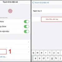 Cách Lấy Dấu Vân Tay Trên Iphone: Hướng Dẫn Chi Tiết Từ A Đến Z