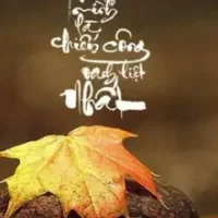 Hình Nền Thư Pháp Cho Iphone: Cách Chọn, Tải Về Và Tùy Chỉnh Để Tăng Thẩm Mỹ Cho Thiết Bị Của Bạn