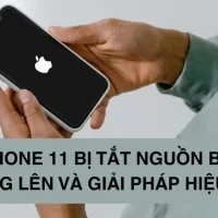 Iphone 11 Có Bị Lỗi Gì Không? – Tổng Hợp Các Vấn Đề Thường Gặp Và Cách Khắc Phục