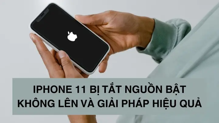 Iphone 11 Có Bị Lỗi Gì Không Iphone 11 Có Bị Lỗi Gì Không