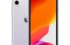 Iphone 11 Qua Sử Dụng: Đánh Giá Chi Tiết, Ưu Nhược Điểm Và Hướng Mua Thông Minh
