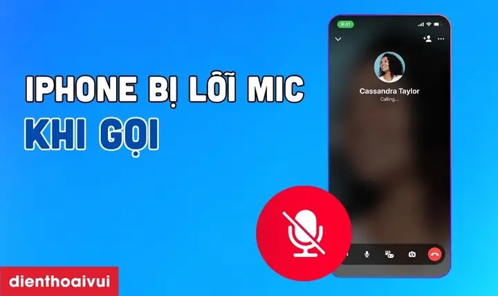 Iphone Bị Lỗi Mic Khi Gọi Video