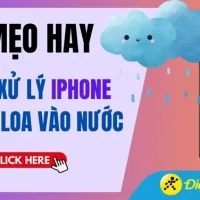 Iphone Rơi Vào Nước Hỏng Loa: Nguyên Nhân, Dấu Hiệu, Cách Khắc Phục Và Phòng Ngừa