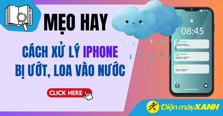 Iphone Rơi Vào Nước Hỏng Loa Iphone Rơi Vào Nước Hỏng Loa