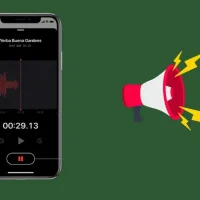Kiểm Tra Loa Trong Iphone: Hướng Dẫn Chi Tiết Và Các Mẹo Sửa Lỗi