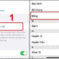 Liên Hệ Khẩn Cấp Iphone: Hướng Dẫn Chi Tiết, Cách Thiết Lập Và Ứng Dụng Thực Tiễn