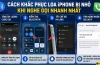 Loa Iphone Tự Nhiên Nhỏ: Lựa Chọn Hoàn Hảo Cho Trải Nghiệm Âm Thanh Đỉnh Cao