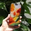 Lỗi Mất Mạng Trên Iphone: Nguyên Nhân, Cách Khắc Phục Và Bảo Dưỡng Để Tránh Xảy Ra Lại
