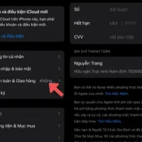 Mã Zip Cà Mau Cho Iphone: Hướng Dẫn Chi Tiết Tìm Kiếm, Sử Dụng Và Những Lưu Ý Quan Trọng
