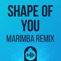 Shape Of You Ringtone Cho Iphone: Hướng Dẫn Chi Tiết Tải, Cài Đặt Và Tùy Chỉnh Âm Thanh Yêu Thích