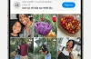 Thư Viện Ảnh Trên Iphone: Hướng Dẫn Toàn Diện Từ Cơ Bản Đến Nâng Cao